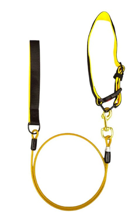 Collar Con Correa Para Mascota
